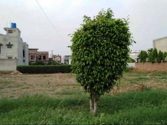 Land for sale in Rawalpindi, Islamabad Capital Territory