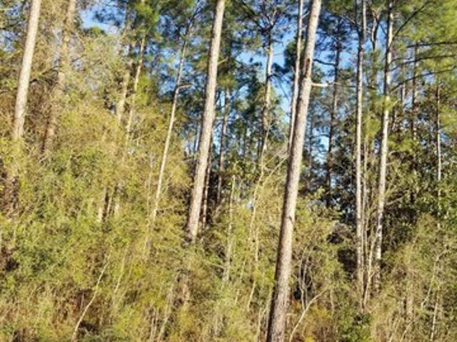 Land for sale in Gulfport, Mississippi