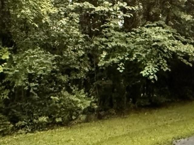 Land for sale in Childersburg, Alabama