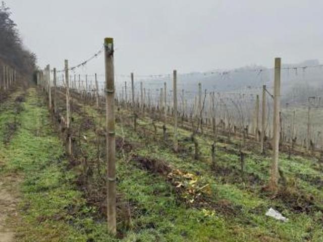 Terreno in vendita a Piemonte, Cuneo