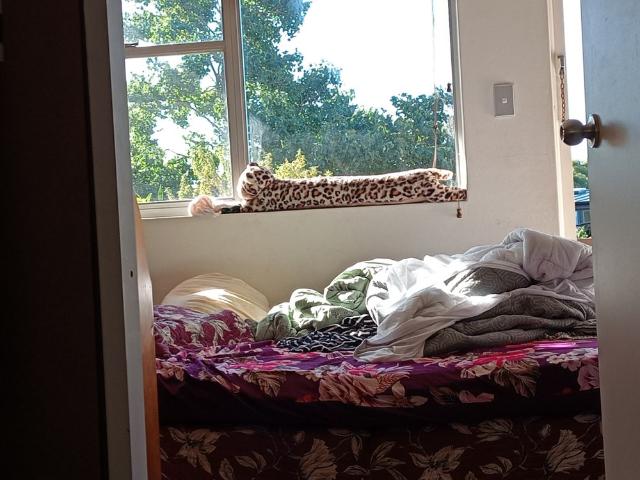 Room for rent in Parliamentary Triangle, Canberra