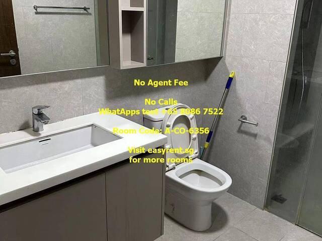 Room for rent
