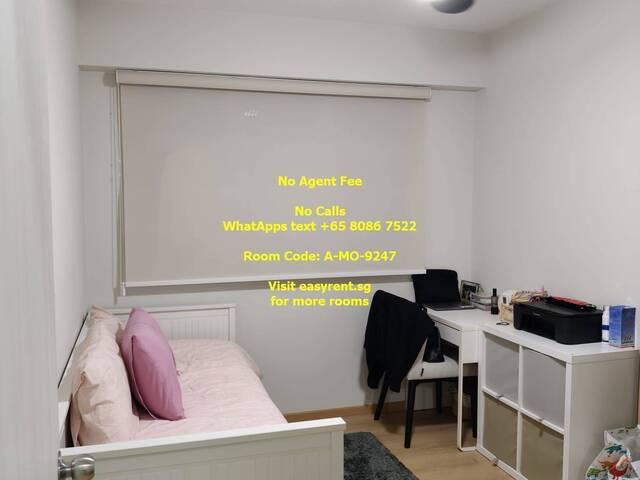 Room for rent