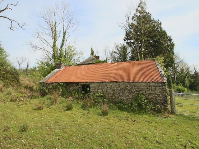 Farm for sale in Carrick-on-shannon
