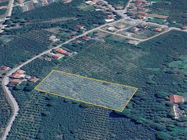 Aydınpınar, Düzce Merkez içerisinde satılık Arsa