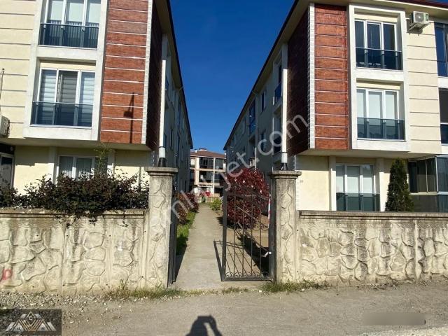 Düzce Merkez, Düzce içerisinde satılık mülk