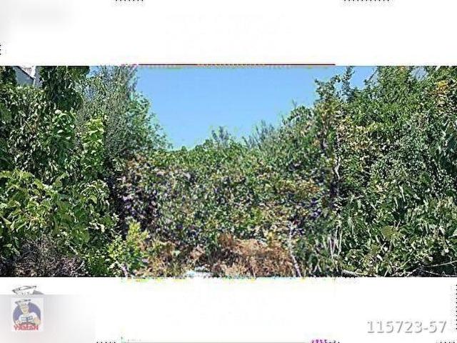 Dikili, İzmir içerisinde satılık Arsa