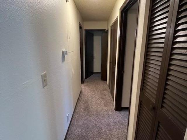 Apartment for rent in Colorado Springs, Colorado