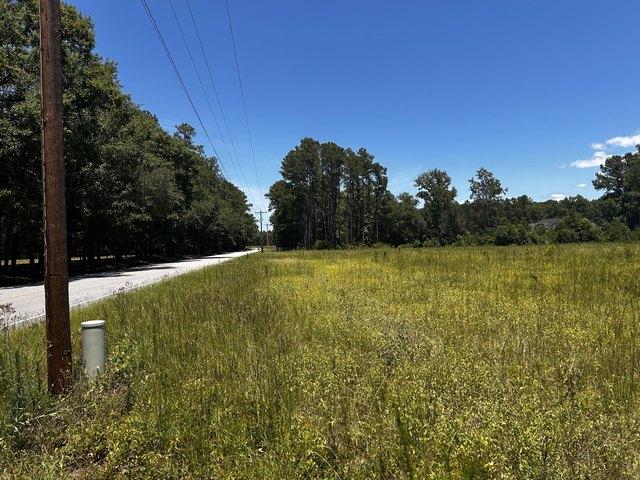 Land for sale in Walterboro, South Carolina