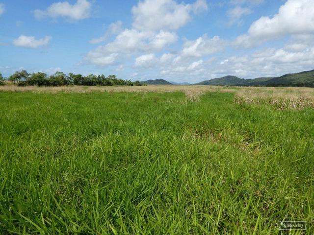 Acreage for sale in Cowley, Queensland