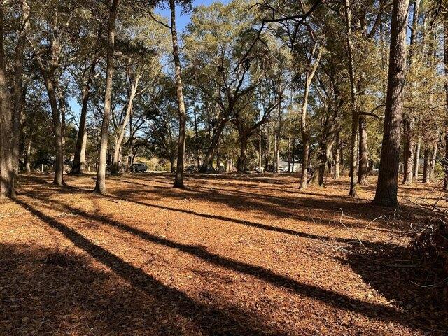 Land for sale in Johns Island