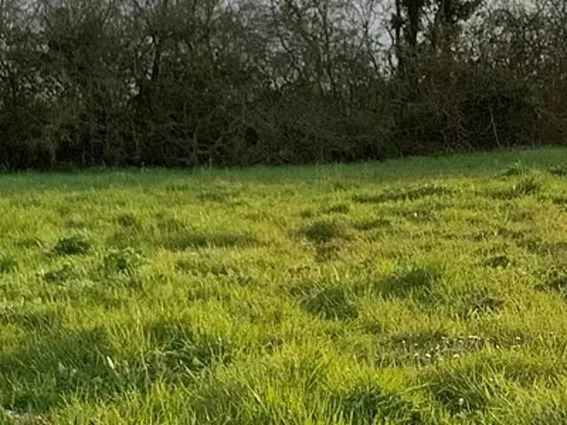 Terrain vente à Bordeaux, Canéjan