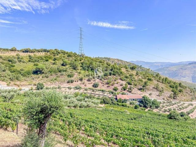 Terreno venda em Canelas, Peso da Régua