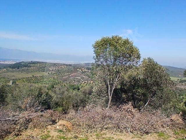 Burhaniye, Balikesir içerisinde satılık Arsa