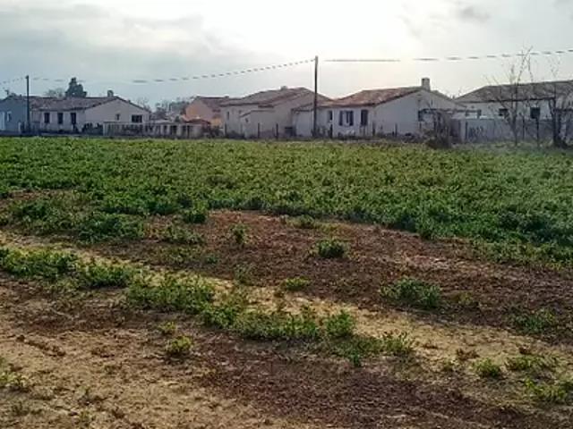 Terrain vente à Narbonne, Canet
