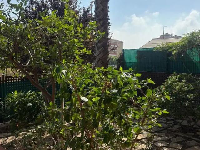Apartamento en alquiler en el Camp de Morvedre, Valencia