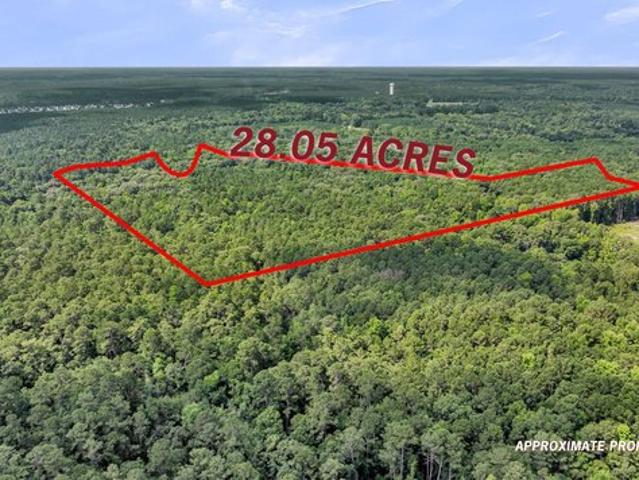 Land for sale in Ridgeville, South Carolina