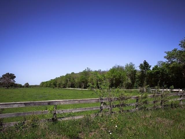Land for sale in Chappell Hill, Texas