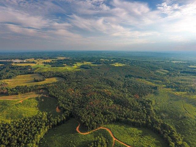 Land for sale in Roopville, Georgia