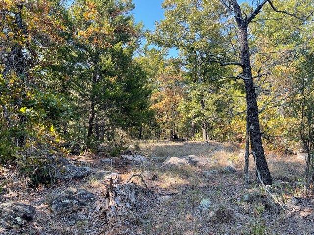 Land for sale in Fort Towson, Oklahoma
