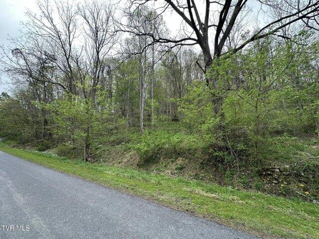 Land for sale in Virginia