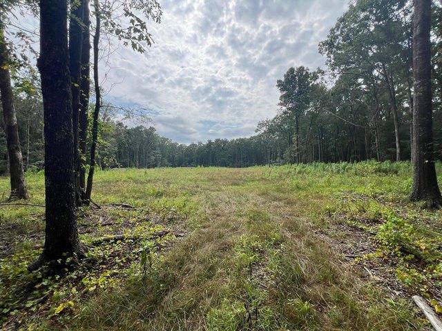 Land for sale in Ark