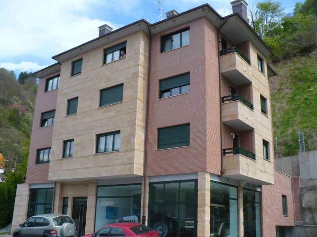 Apartamento en alquiler en Cangas Del Narcea, Asturias