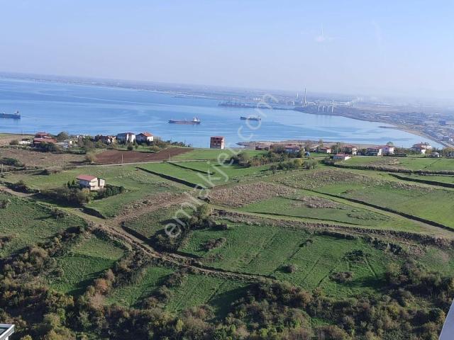 Canik, Samsun içerisinde kiralık mülk