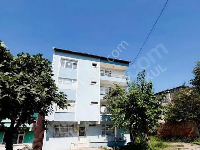 Karşıyaka, Canik içerisinde kiralık mülk