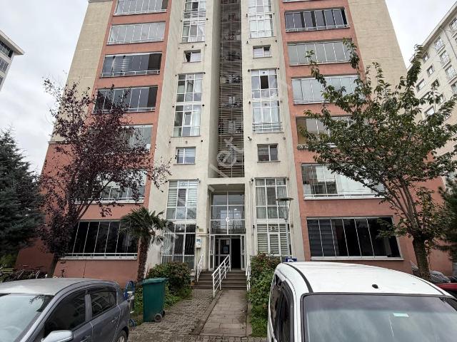 Kuzey Yıldızı Mahallesi, Canik içerisinde kiralık mülk