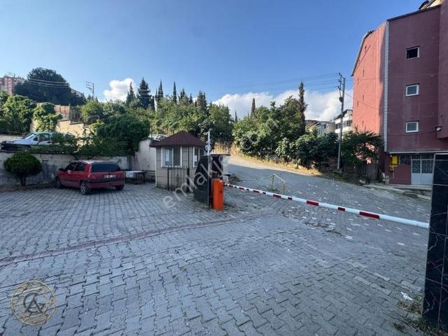 Canik, Samsun içerisinde kiralık mülk