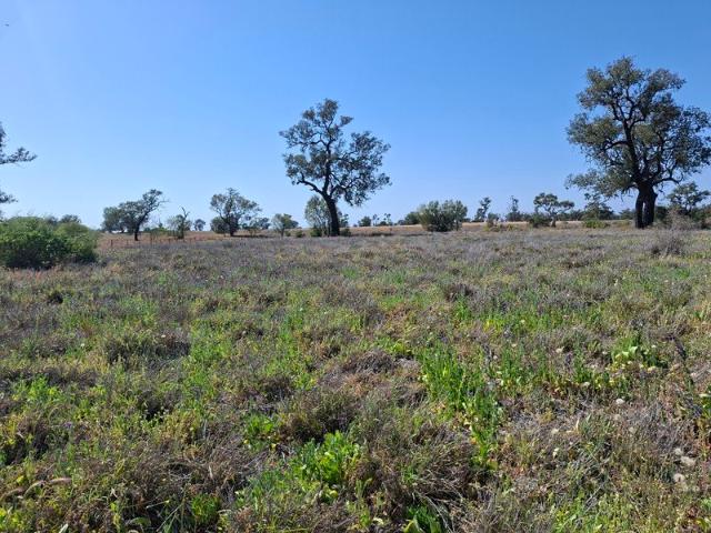 Acreage for sale in Coonamble, Coonamble Shire Council