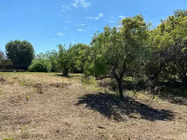 Terrain vente à France métropolitaine, Cannes
