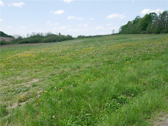 Land for sale in Oneida, New York
