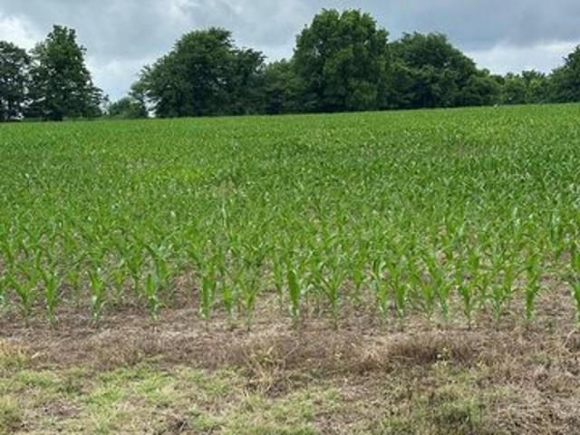 Land for sale in Tennessee
