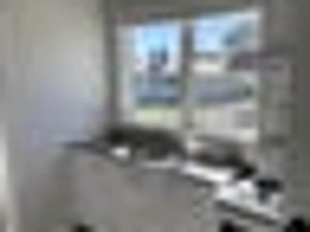 House for rent in Papakaio, Wellington