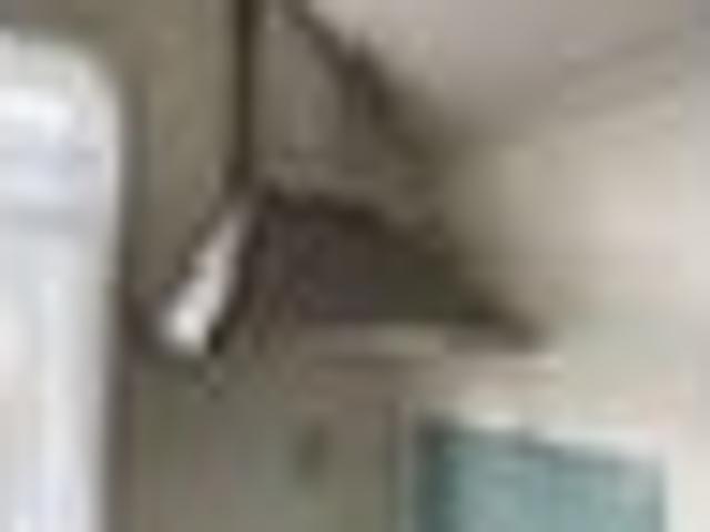 House for rent in Papakaio, Wellington