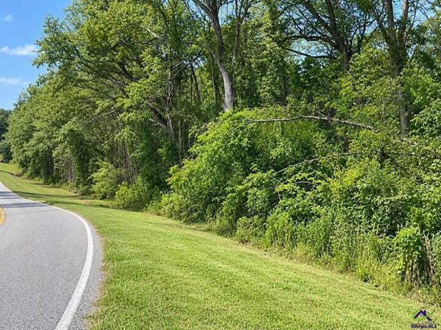 Land for sale in Abbeville, Wilcox County