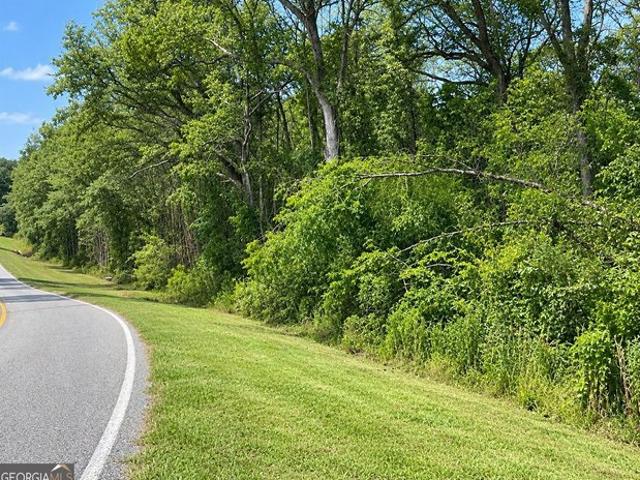 Land for sale in Abbeville, Wilcox County