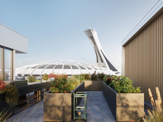 Apartment for rent in Mercier–hochelaga-maisonneuve, St. Leonard's