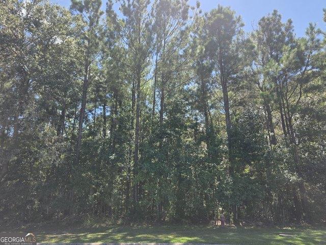 Land for sale in Waverly, Georgia