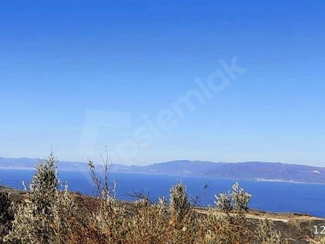 Derbent, İznik içerisinde satılık mülk
