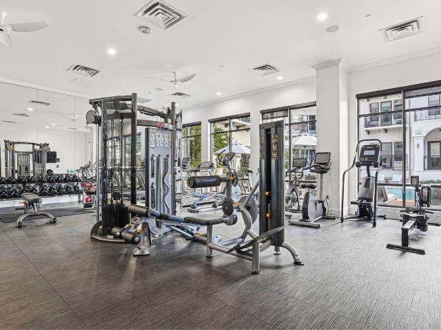 Apartment for rent in Dallas, Texas