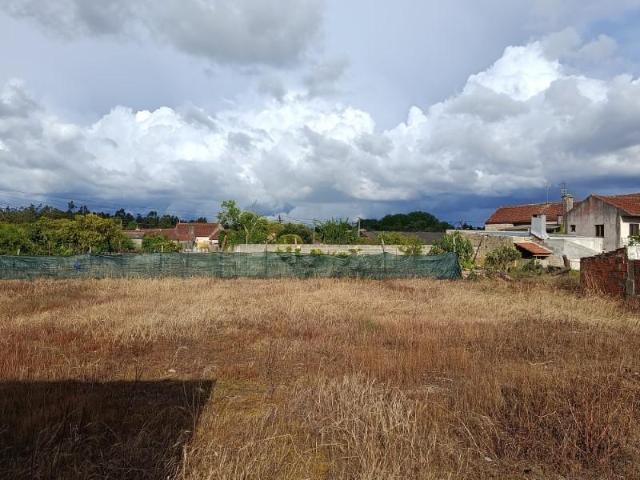 Terreno venda em Cantanhede, Coimbra