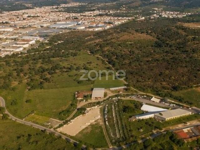 Terreno venda em Cantanhede, Coimbra