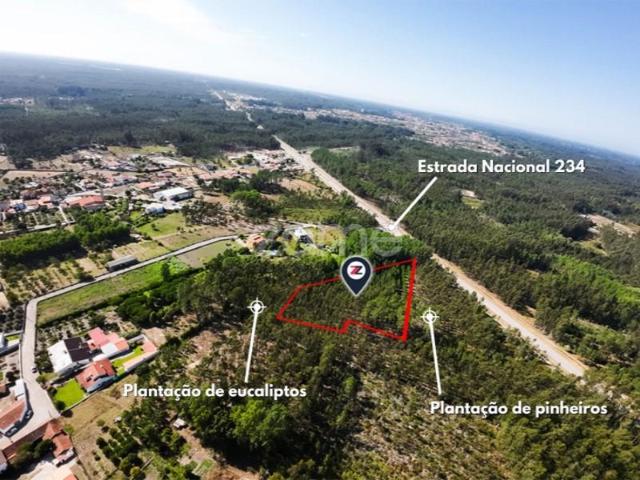 Terreno venda em Cantanhede, Coimbra