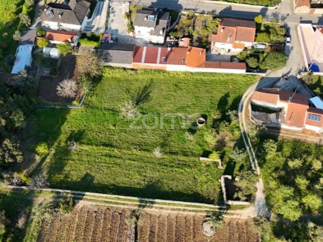 Terreno venda em Cantanhede, Coimbra