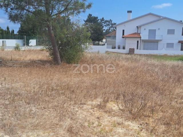 Terreno venda em Cantanhede, Coimbra