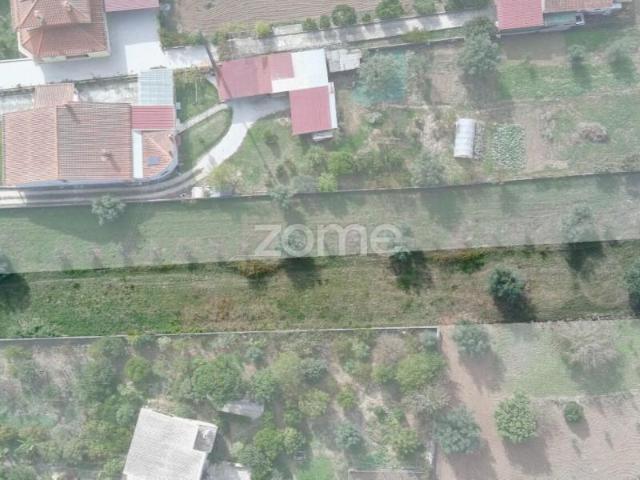 Terreno venda em Cantanhede