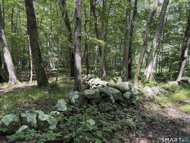 Land for sale in Canterbury, Northeastern Connecticut Planning Region